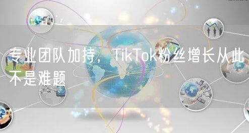 专业团队加持，TikTok粉丝增长从此不是难题