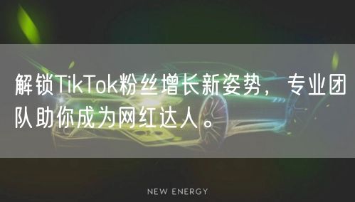 解锁TikTok粉丝增长新姿势，专业团队助你成为网红达人。