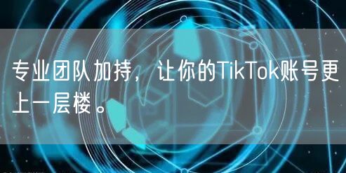 专业团队加持，让你的TikTok账号更上一层楼。