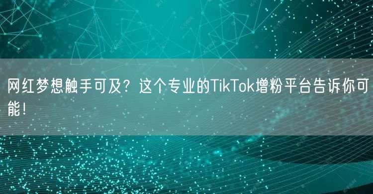 网红梦想触手可及？这个专业的TikTok增粉平台告诉你可能！