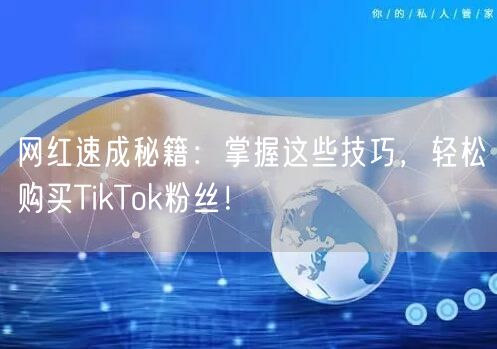 网红速成秘籍：掌握这些技巧，轻松购买TikTok粉丝！