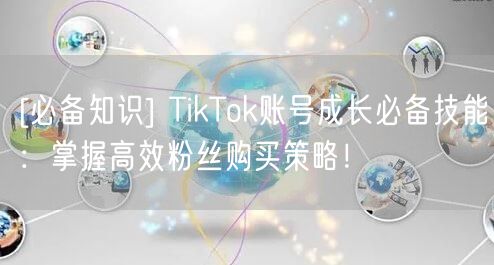 [必备知识] TikTok账号成长必备技能：掌握高效粉丝购买策略！