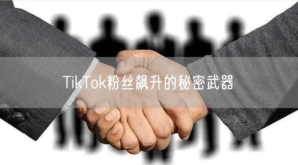 TikTok粉丝飙升的秘密武器