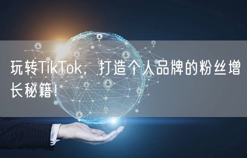 玩转TikTok，打造个人品牌的粉丝增长秘籍！