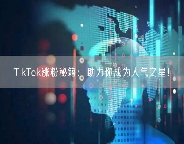 TikTok涨粉秘籍：助力你成为人气之星！