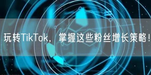 玩转TikTok，掌握这些粉丝增长策略！
