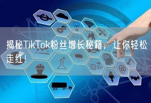 揭秘TikTok粉丝增长秘籍，让你轻松走红！