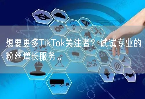 想要更多TikTok关注者？试试专业的粉丝增长服务。