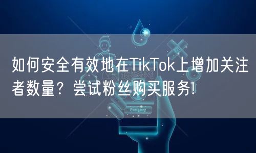 如何安全有效地在TikTok上增加关注者数量？尝试粉丝购买服务!