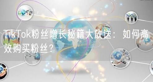 TikTok粉丝增长秘籍大放送：如何高效购买粉丝？