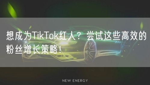 想成为TikTok红人？尝试这些高效的粉丝增长策略！