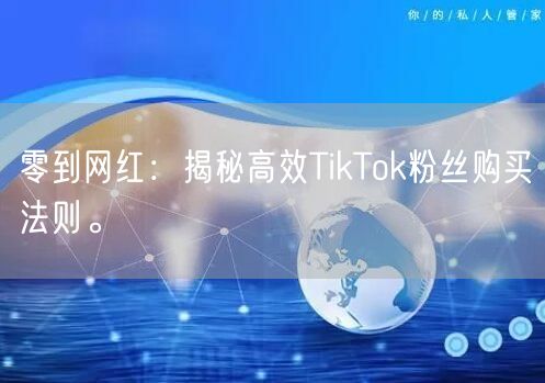零到网红：揭秘高效TikTok粉丝购买法则。