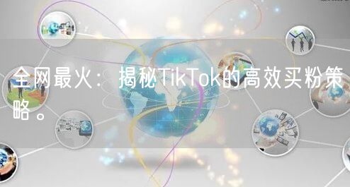 全网最火：揭秘TikTok的高效买粉策略。