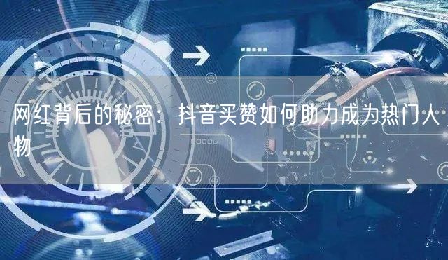 网红背后的秘密：抖音买赞如何助力成为热门人物