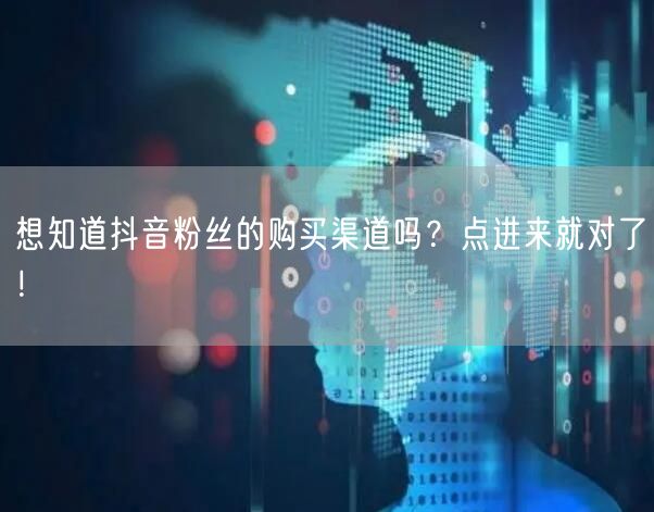 想知道抖音粉丝的购买渠道吗？点进来就对了！