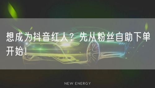 想成为抖音红人？先从粉丝自助下单开始！