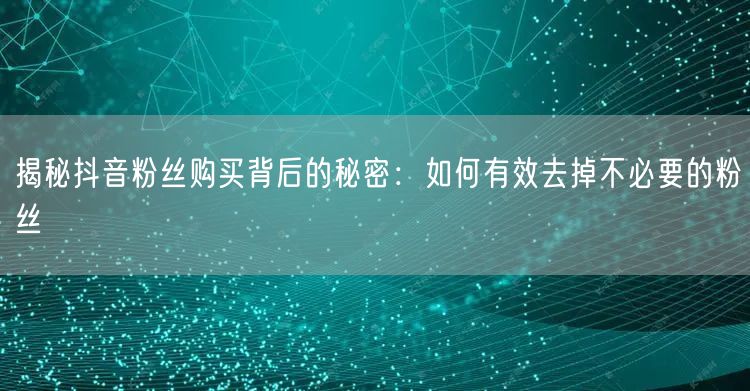 揭秘抖音粉丝购买背后的秘密:如何有效去掉不必要的粉丝