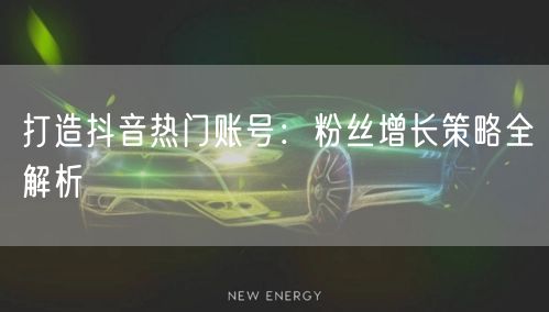 打造抖音热门账号：粉丝增长策略全解析