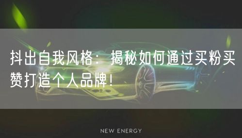 抖出自我风格：揭秘如何通过买粉买赞打造个人品牌！