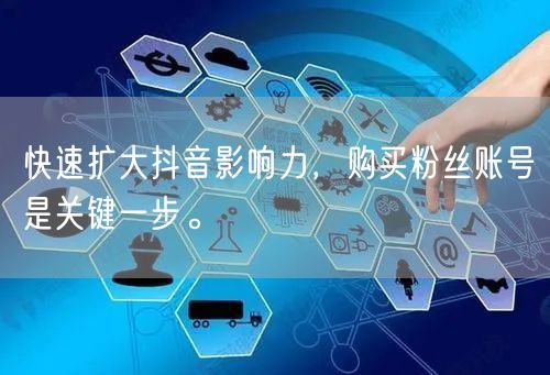 快速扩大抖音影响力，购买粉丝账号是关键一步。