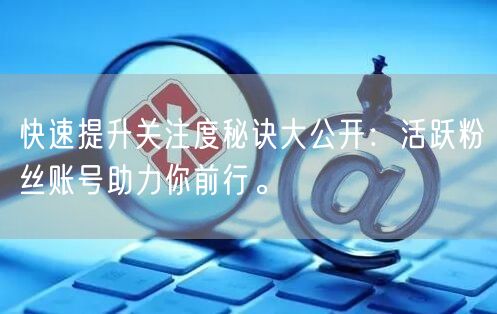 快速提升关注度秘诀大公开：活跃粉丝账号助力你前行。