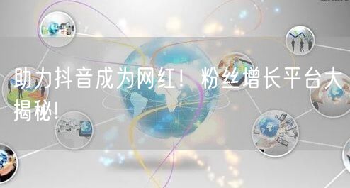 助力抖音成为网红！粉丝增长平台大揭秘!