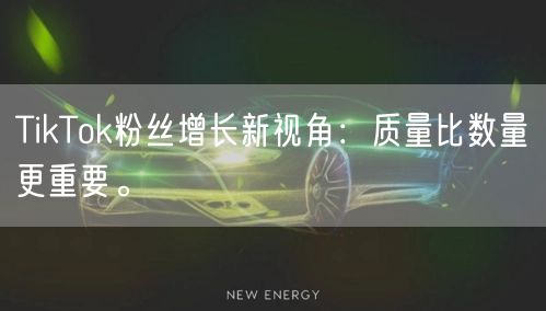 TikTok粉丝增长新视角：质量比数量更重要。
