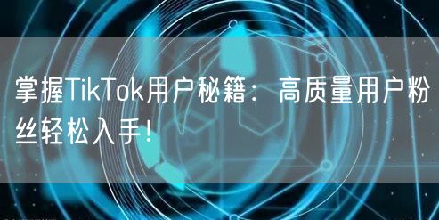 掌握TikTok用户秘籍：高质量用户粉丝轻松入手！