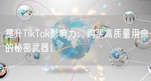 提升TikTok影响力：购买高质量用户的秘密武器！