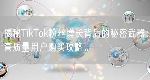 揭秘TikTok粉丝增长背后的秘密武器：高质量用户购买攻略。