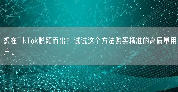 想在TikTok脱颖而出？试试这个方法购买精准的高质量用户。
