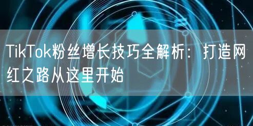 TikTok粉丝增长技巧全解析：打造网红之路从这里开始