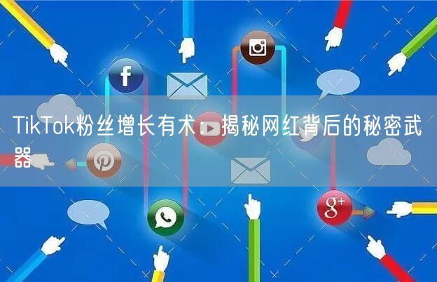 TikTok粉丝增长有术：揭秘网红背后的秘密武器