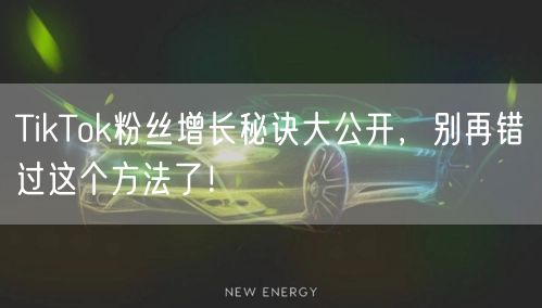 TikTok粉丝增长秘诀大公开，别再错过这个方法了！