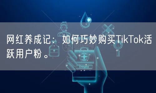 网红养成记：如何巧妙购买TikTok活跃用户粉。