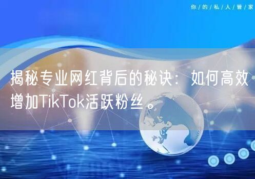 揭秘专业网红背后的秘诀：如何高效增加TikTok活跃粉丝。