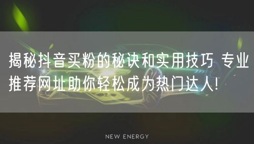 揭秘抖音买粉的秘诀和实用技巧 专业推荐网址助你轻松成为热门达人!
