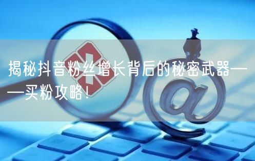 揭秘抖音粉丝增长背后的秘密武器——买粉攻略！