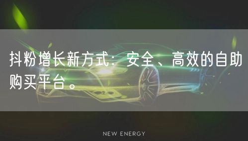 抖粉增长新方式：安全、高效的自助购买平台。