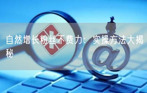 自然增长粉丝不费力：实操方法大揭秘