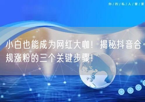 小白也能成为网红大咖！揭秘抖音合规涨粉的三个关键步骤！