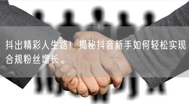 抖出精彩人生路！揭秘抖音新手如何轻松实现合规粉丝增长。