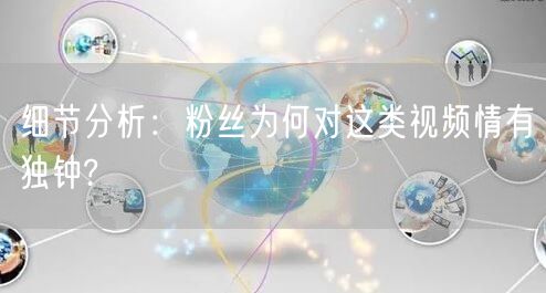 细节分析：粉丝为何对这类视频情有独钟?
