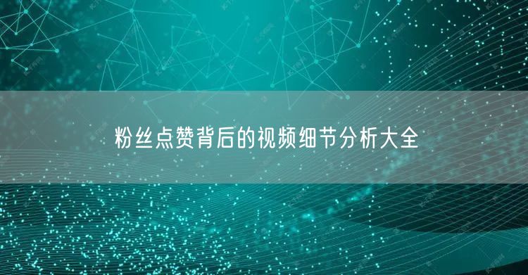 粉丝点赞背后的视频细节分析大全