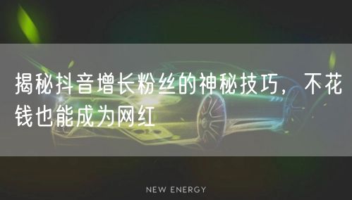 揭秘抖音增长粉丝的神秘技巧，不花钱也能成为网红