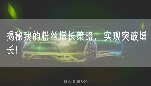 揭秘我的粉丝增长策略，实现突破增长！