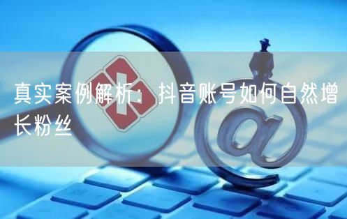 真实案例解析：抖音账号如何自然增长粉丝