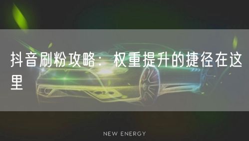 抖音刷粉攻略：权重提升的捷径在这里