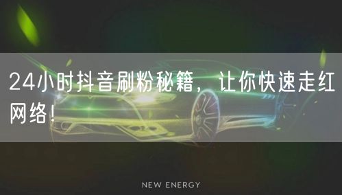 24小时抖音刷粉秘籍，让你快速走红网络！