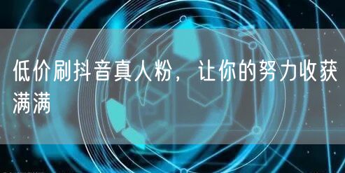 低价刷抖音真人粉，让你的努力收获满满